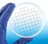PetriStickers, 100-square grid  36/pk
